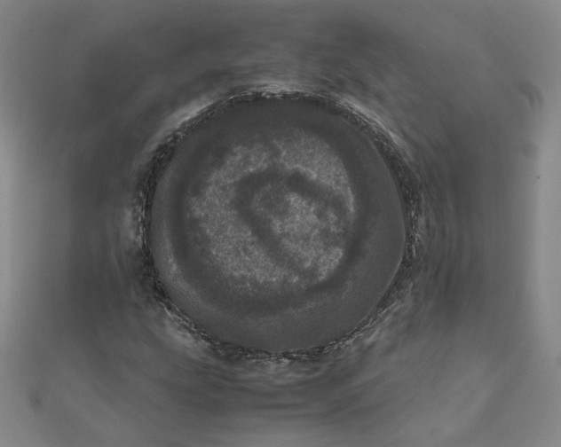 X0000111661207200907311131