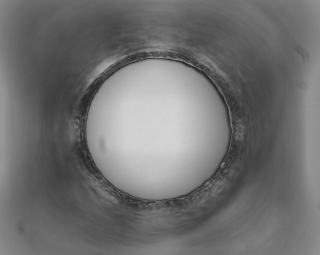 X0000111661208200907311131