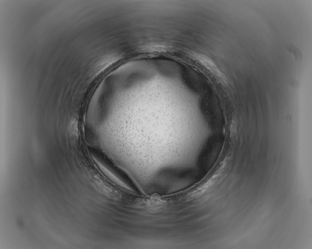 X0000111661209200907311131