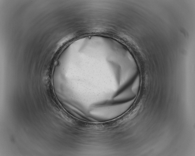 X0000111661210200907311131