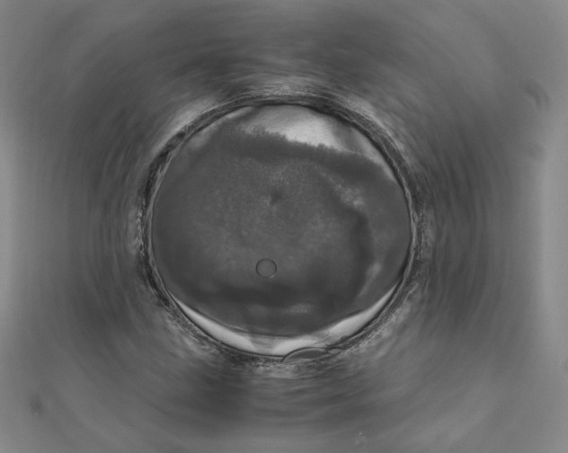 X0000111661211200907311131