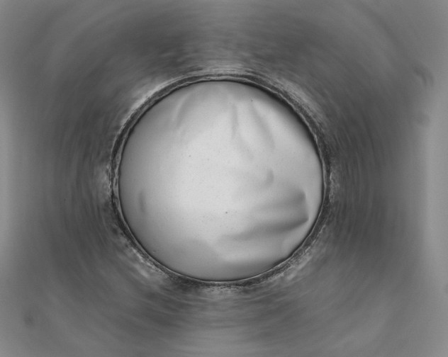 X0000111661212200907311131