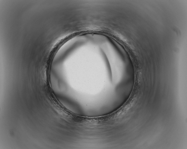 X0000111661214200907311131