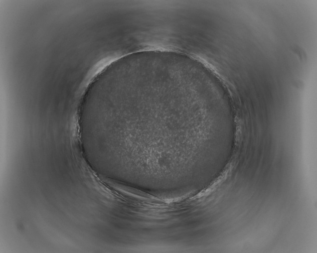 X0000111661215200907311131