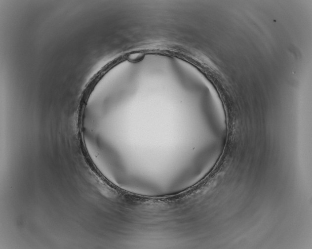 X0000111661216200907311131