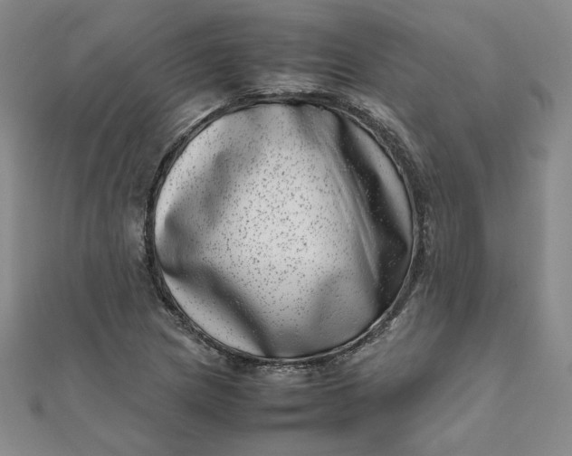 X0000111661217200907311131