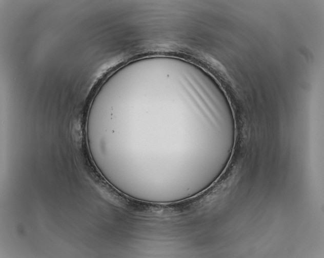 X0000111661218200907311131