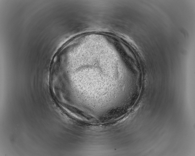 X0000111661220200907311131