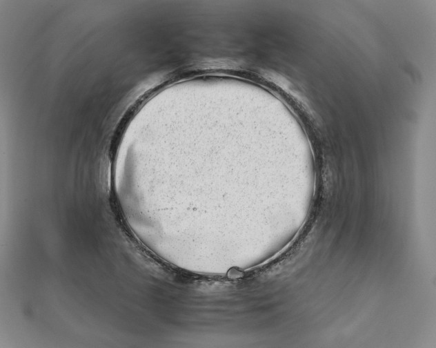 X0000111661221200907311131