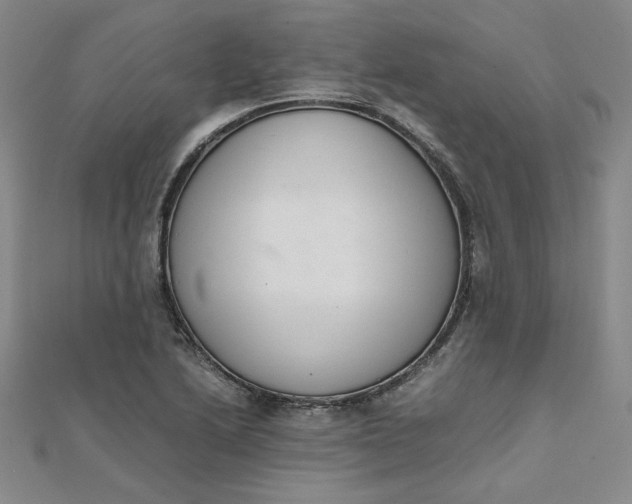 X0000111661222200907311131