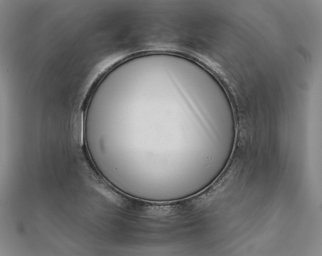 X0000111661223200907311131