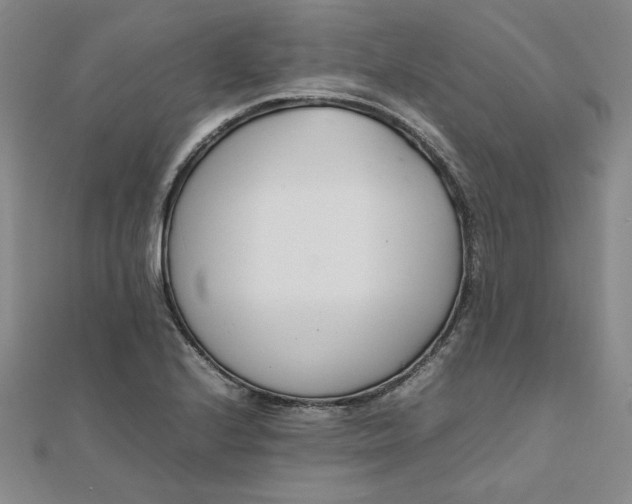 X0000111661224200907311131