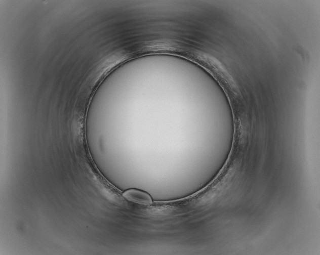 X0000111661225200907311131