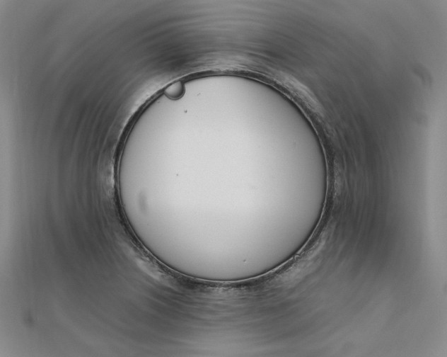 X0000111661226200907311131