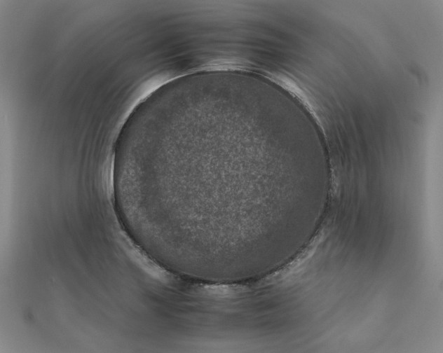 X0000111661227200907311131