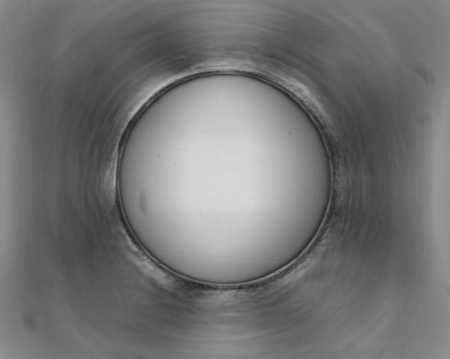 X0000111661228200907311131