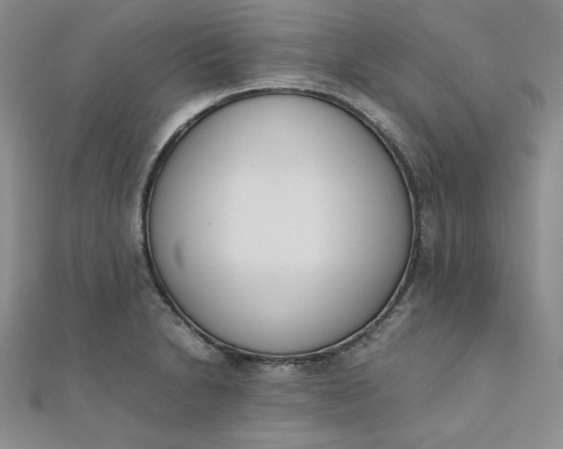 X0000111661230200907311131