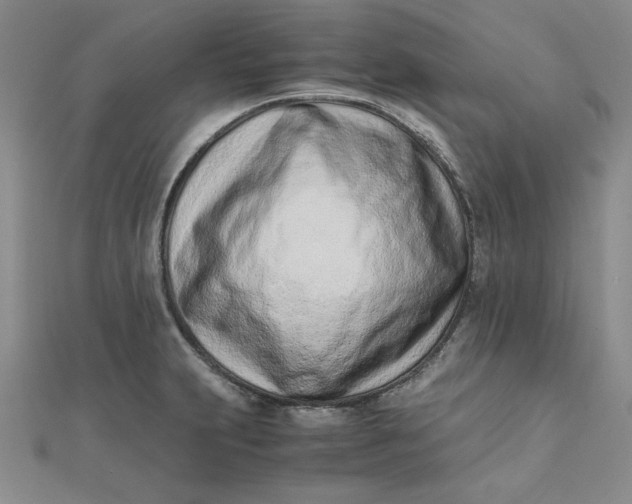 X0000111661231200907311131