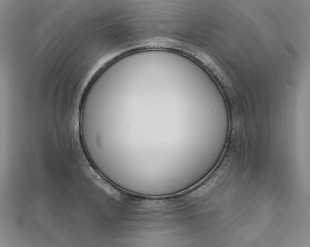 X0000111661232200907311131