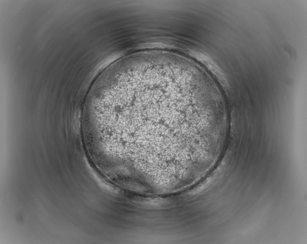 X0000111661233200907311131