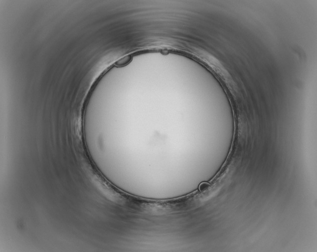 X0000111661234200907311131