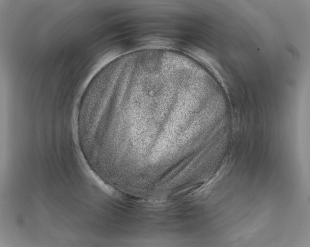 X0000111661235200907311131