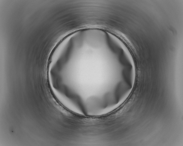 X0000111661236200907311131