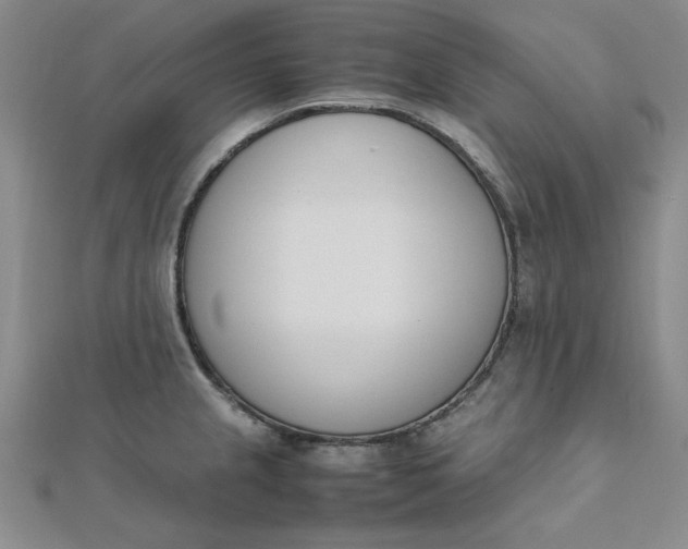 X0000111661237200907311131