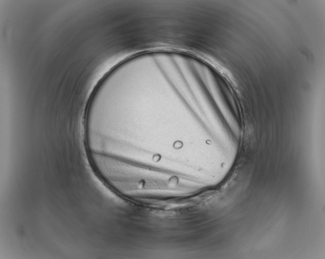 X0000111661239200907311131