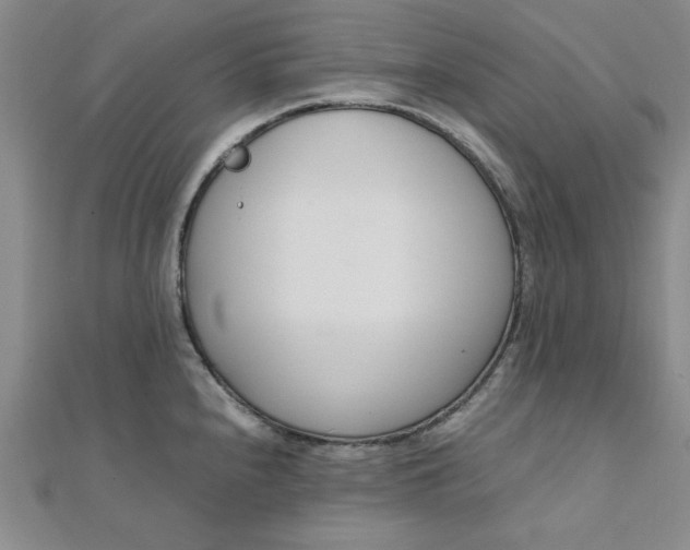 X0000111661240200907311131