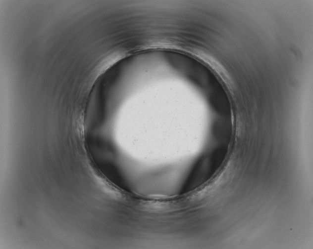 X0000111661241200907311131