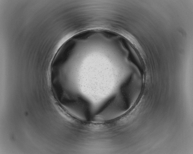 X0000111661242200907311131