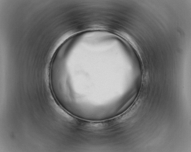 X0000111661243200907311131