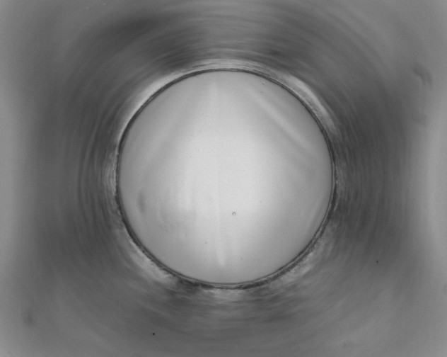 X0000111661244200907311131