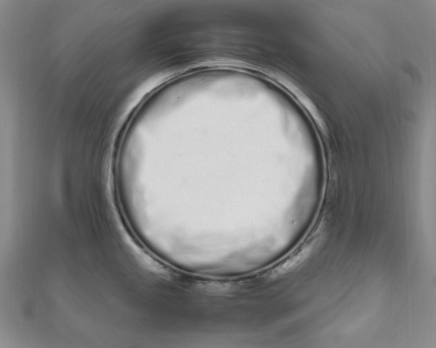 X0000111661245200907311132