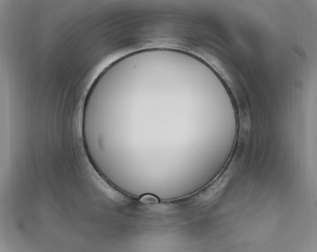 X0000111661246200907311132