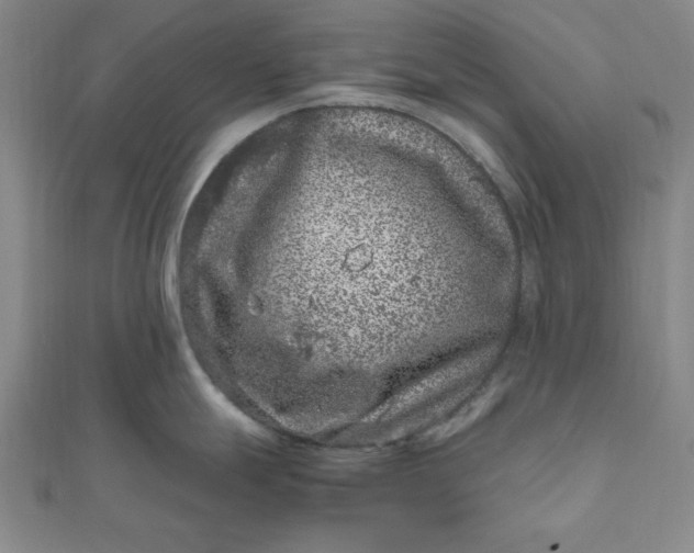 X0000111661247200907311132