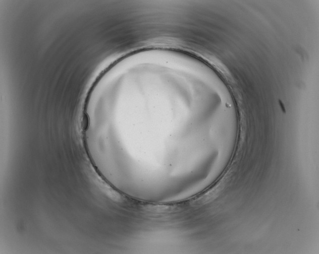 X0000111661248200907311132