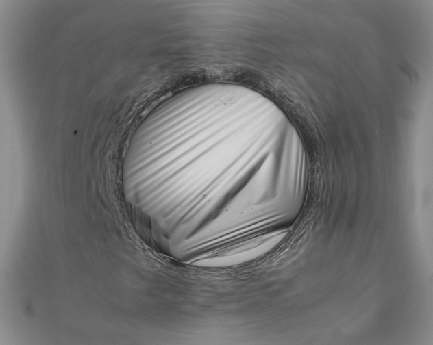 X0000111661249200907311131