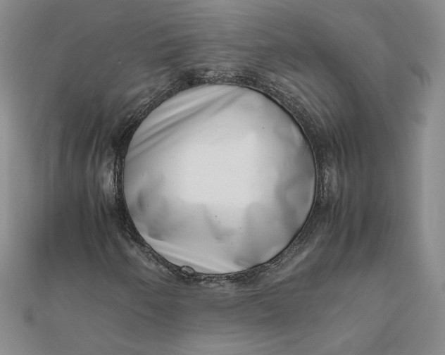 X0000111661250200907311131