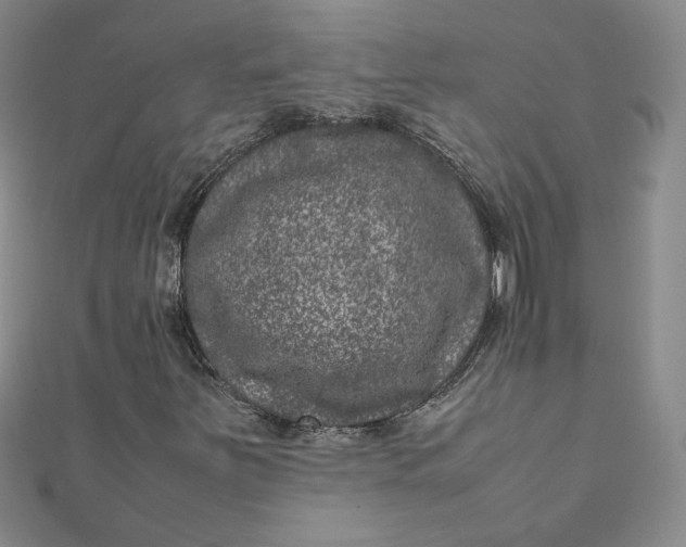 X0000111661251200907311131