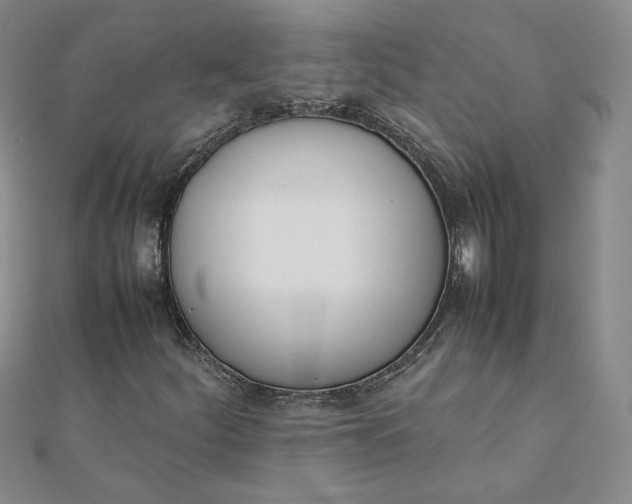 X0000111661252200907311131