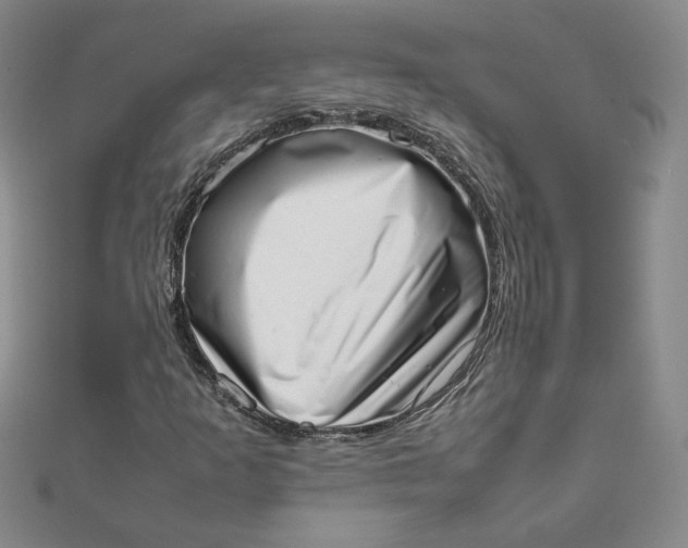 X0000111661253200907311131