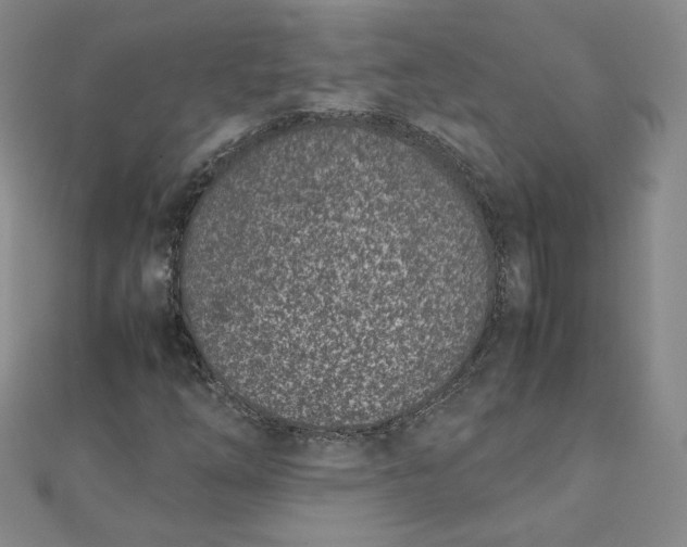 X0000111661254200907311131