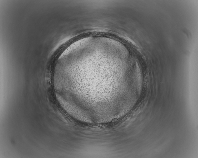 X0000111661255200907311131