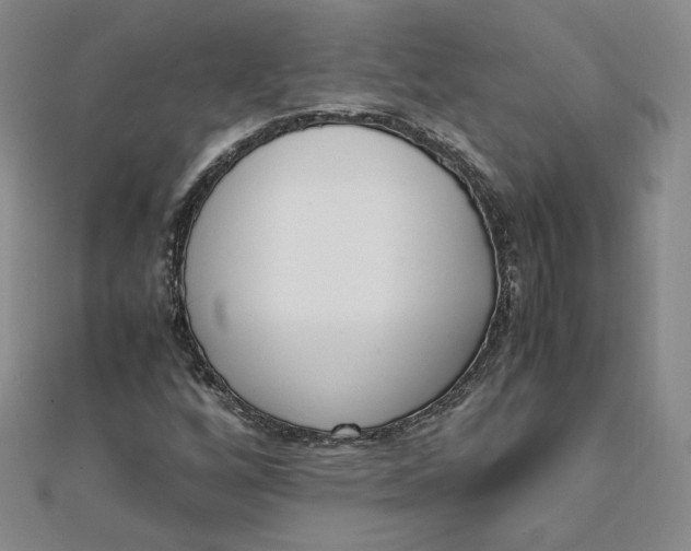 X0000111661256200907311131