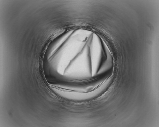 X0000111661257200907311131