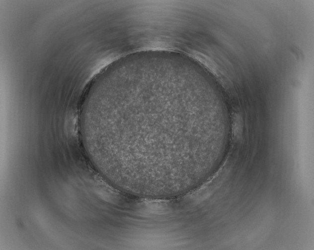 X0000111661258200907311131