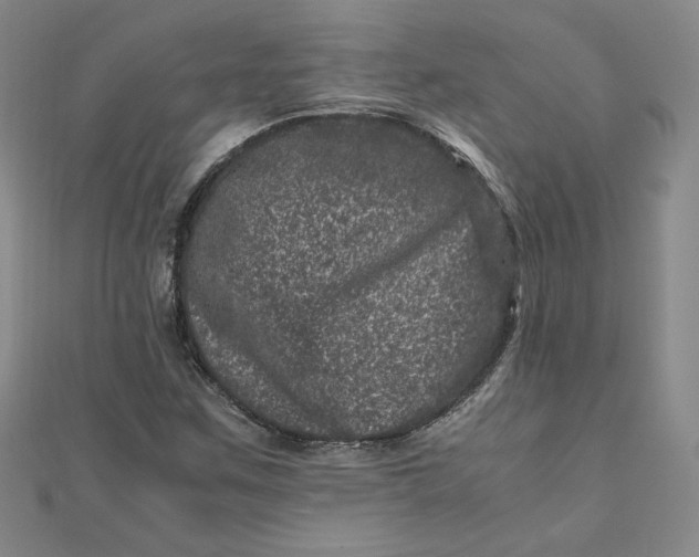 X0000111661259200907311131