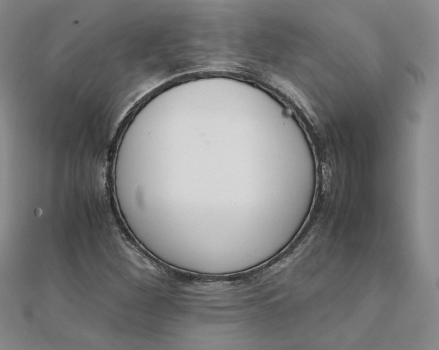 X0000111661260200907311131